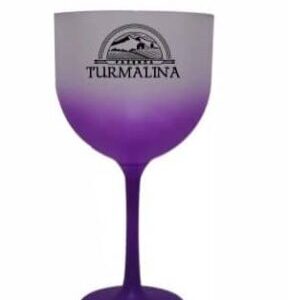 Taça de Gin de Acrílico Degrade 550ml